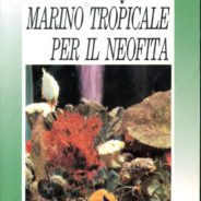 L’acquario per il neofita